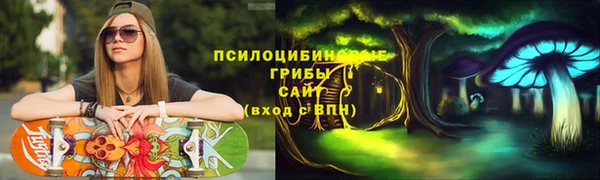 мдпв Володарск