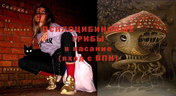 2c-b Вязьма