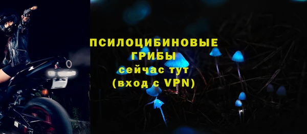 стафф Волосово