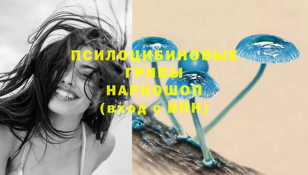 шишки Вязники